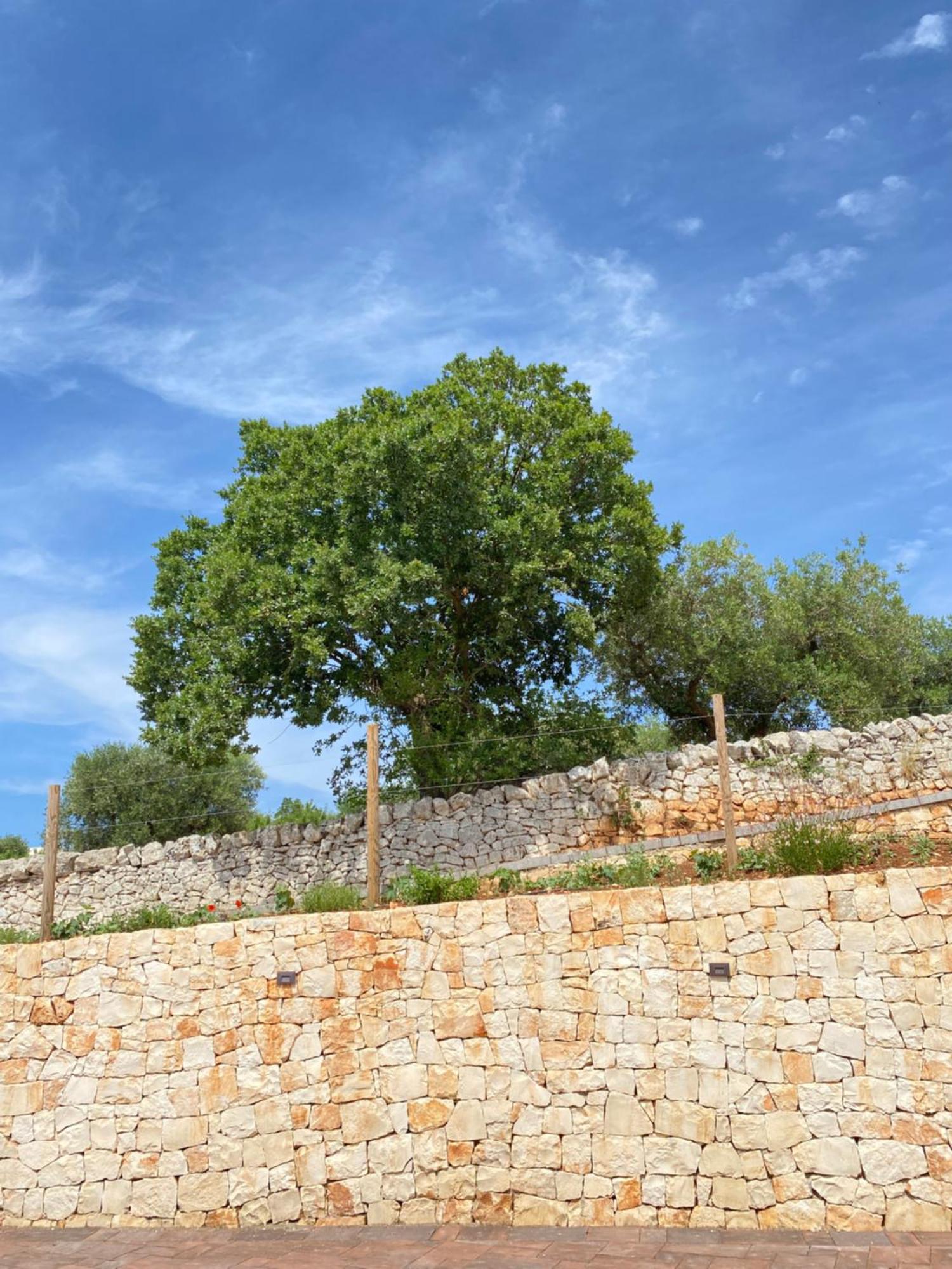 Trulli Mbs By Apulia Hospitality Appartement Locorotondo Buitenkant foto