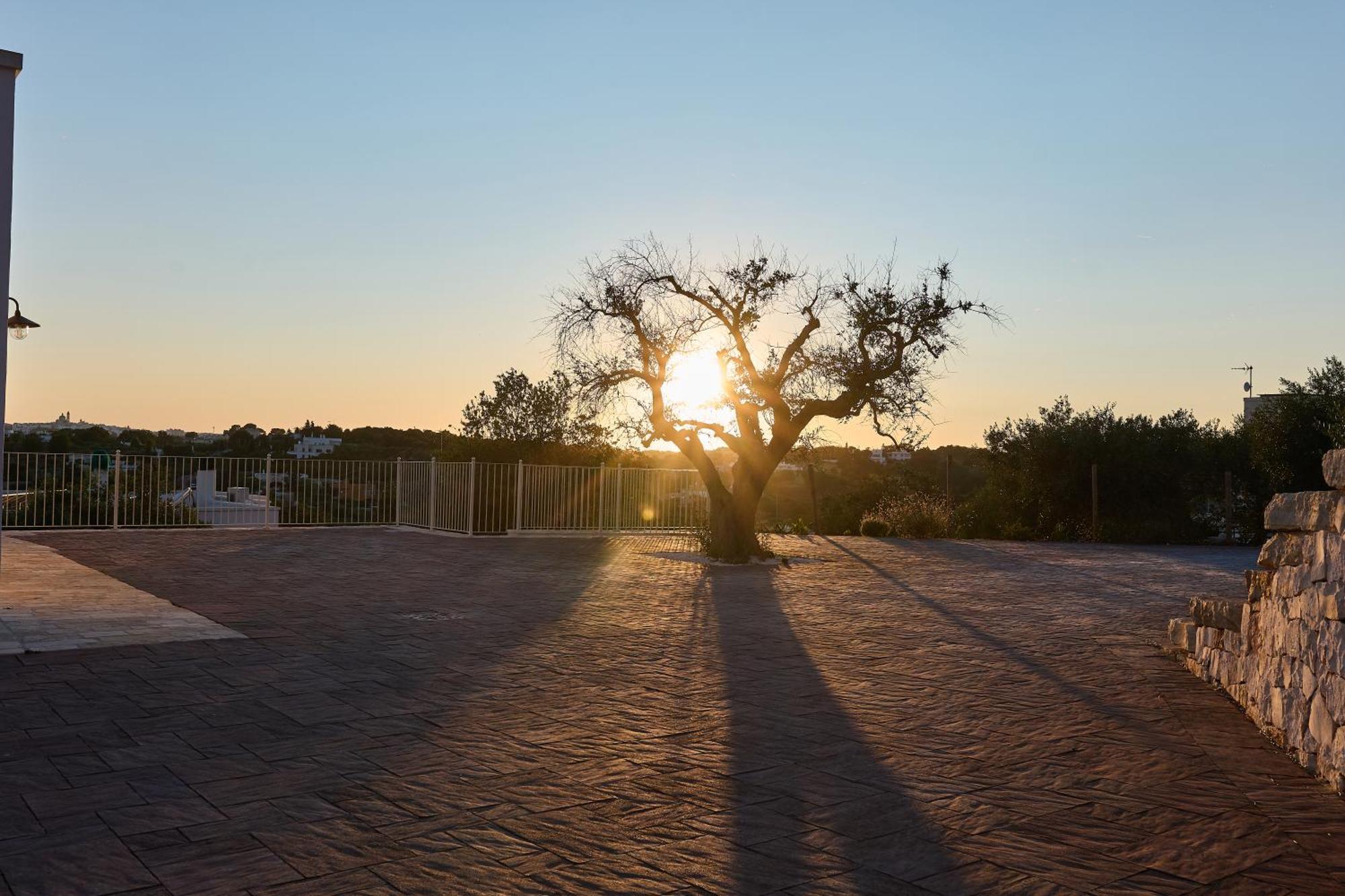 Trulli Mbs By Apulia Hospitality Appartement Locorotondo Buitenkant foto